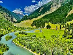 Luxury Cabs in Kashmir