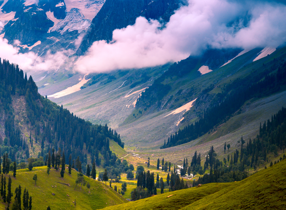 Luxury Cabs in Kashmir